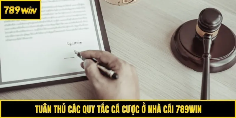 Tuân thủ các quy tắc cá cược ở nhà cái 789win