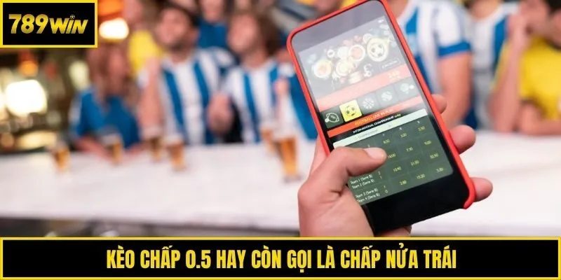 Kèo chấp 0.5 hay còn gọi là chấp nửa trái
